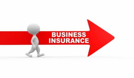 Starting A Small Business For Dummies - business insurance