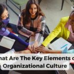 Key Elements of Organizational Culture